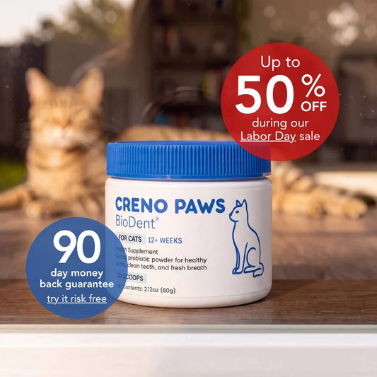 VitaPaws Dental Powder